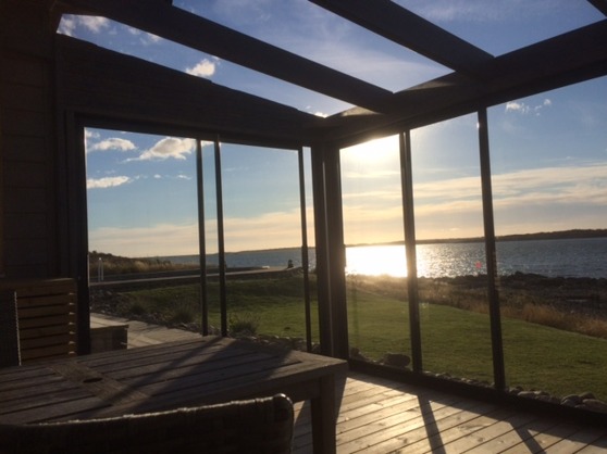 Glasmästare Borgholm har levererat glastaket.